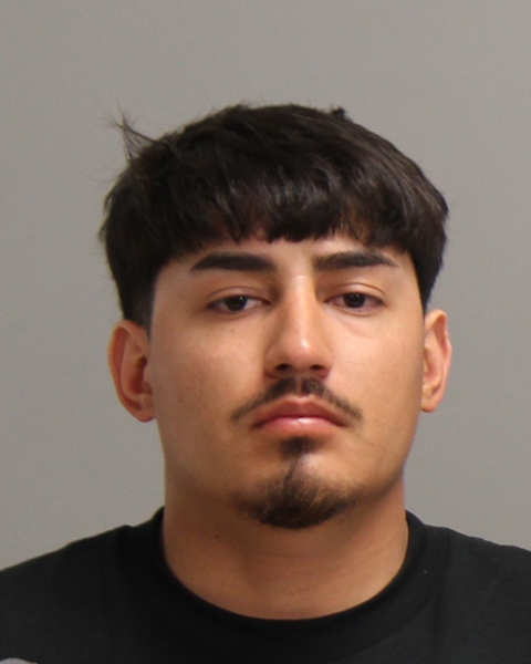 VILLARREAL, JESUS HIGINIO booking photo