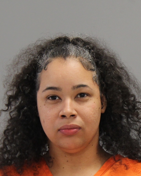 JOHNSON, CHRISTEN NECHELLE booking photo
