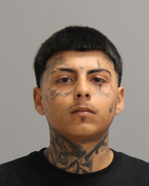 ANDRADE ROJAS, JUAN GERARDO booking photo
