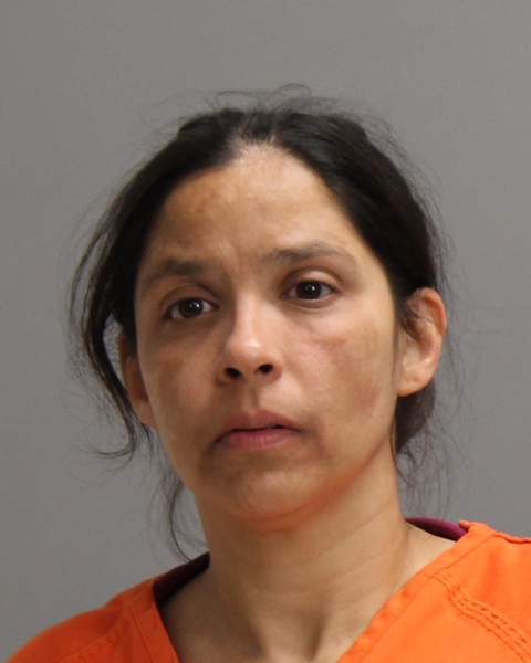 LUTTRELL, ZIPPORAH VIOLA booking photo