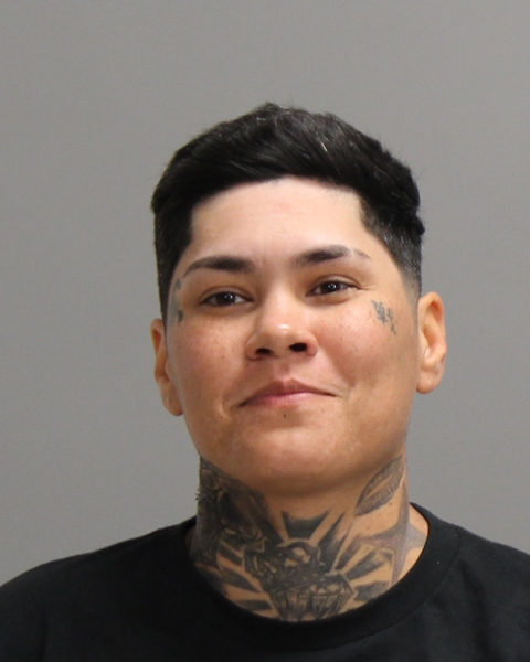 LOPEZ, MARLANA DAWN booking photo