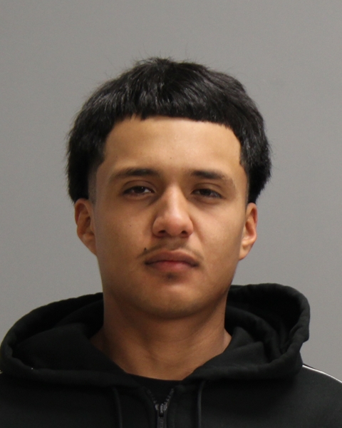 CHAVEZ, ALESANDRO booking photo