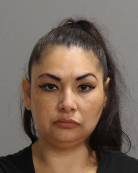 Salinas, Anna Lisia booking photo
