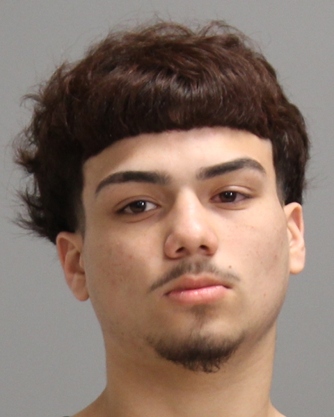 ALVARADO, OMERO booking photo