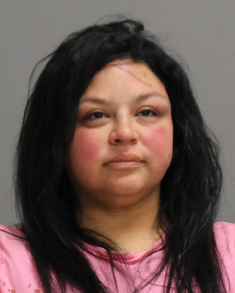 CASTILLO, SARAH booking photo