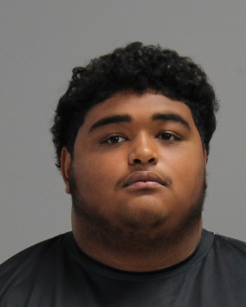 ESTRADA, DEVIN MALCHI booking photo