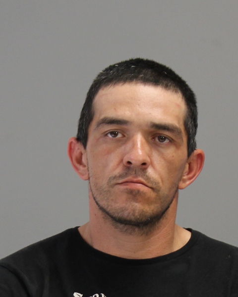 WELVAERT, JAMES LEO booking photo