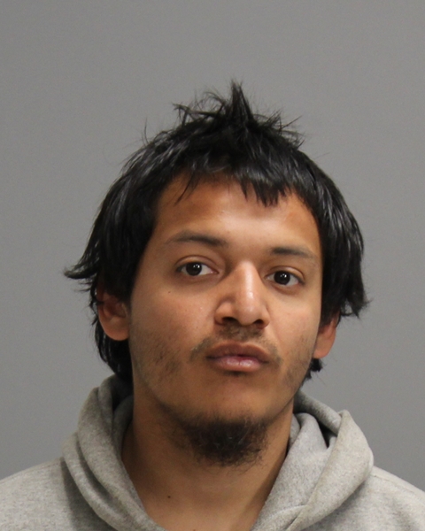 RODRIGUEZ, DAVID REY, Jr booking photo
