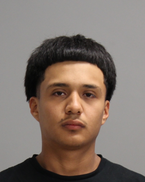 CHAVEZ, ALESANDRO booking photo