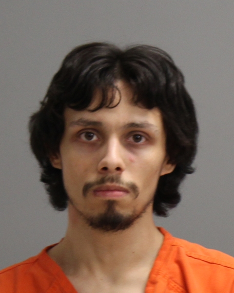 Galvan, Jimmy Lee booking photo