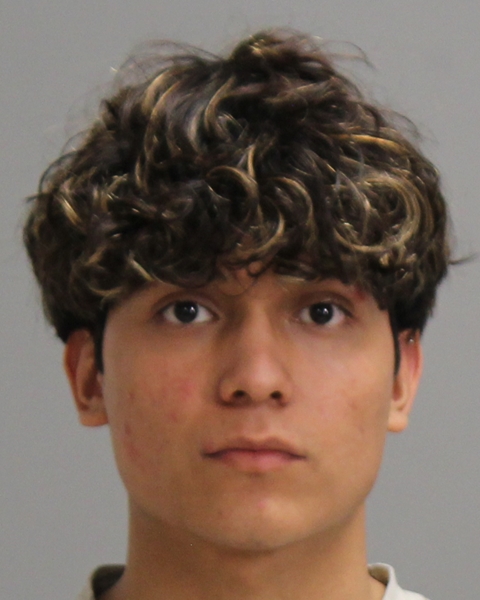 MARTINEZ, ANDREW booking photo