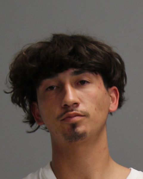 Vega, Karson Wayne booking photo
