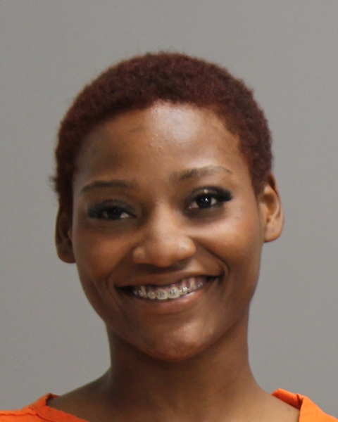 WEBB, EVA DASHAE booking photo