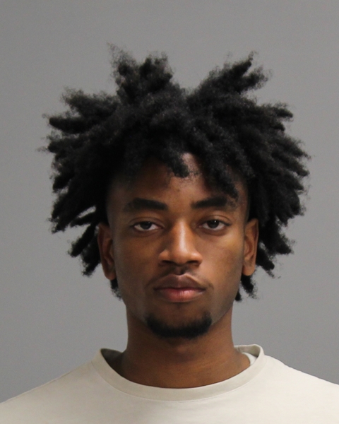 ADEYEYE, EDWARD MICHAEL booking photo