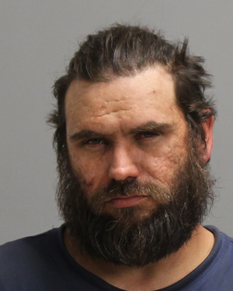 STEIN, ADAM WAYNE booking photo