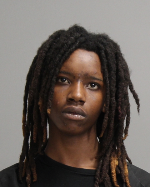 HENDERSON, DAVONTE JA'MICHAEL booking photo