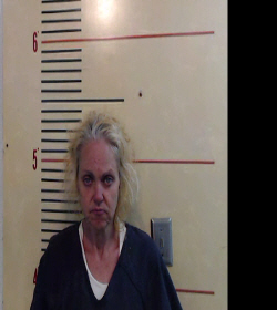 HAYNES, CHRISTINA MARIE booking photo