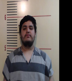 ALVAREZ-RAMIREZ, SERGIO ARIEL booking photo