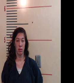 GRAY, JESSICA booking photo