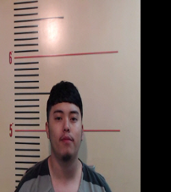 HERNANDEZ, JOE arrested by Willow Park Police Department