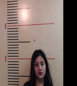 GARCIA, MARIANNA CECILIA booking photo