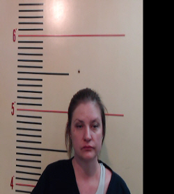 Hamilton, Alison Lee booking photo