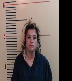 HALE, AMY YVONNE booking photo