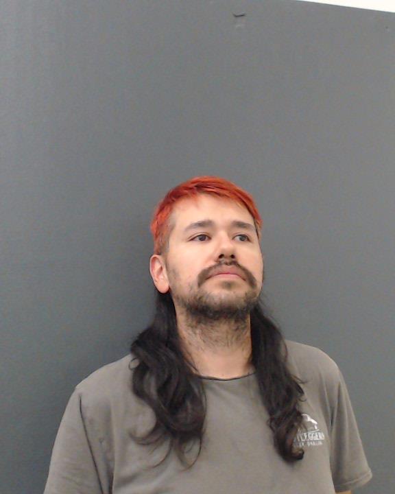 GARZA, ROBERTO CARLOS booking photo