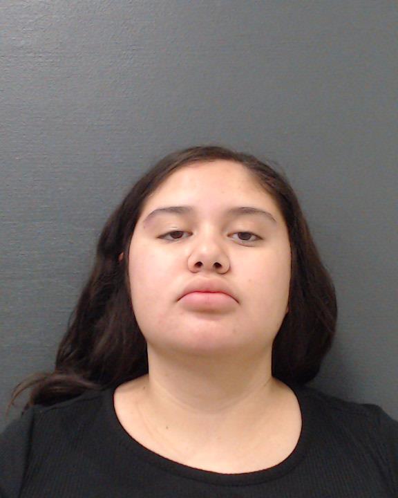 DEL HOYO, ANDREA GUADALUPE booking photo
