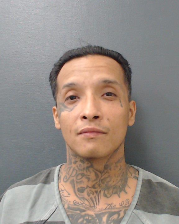 FLORES, MARIO ALBERTO booking photo
