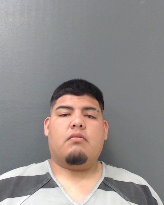 LIZCANO MADRID, ENMANUEL DAVID booking photo