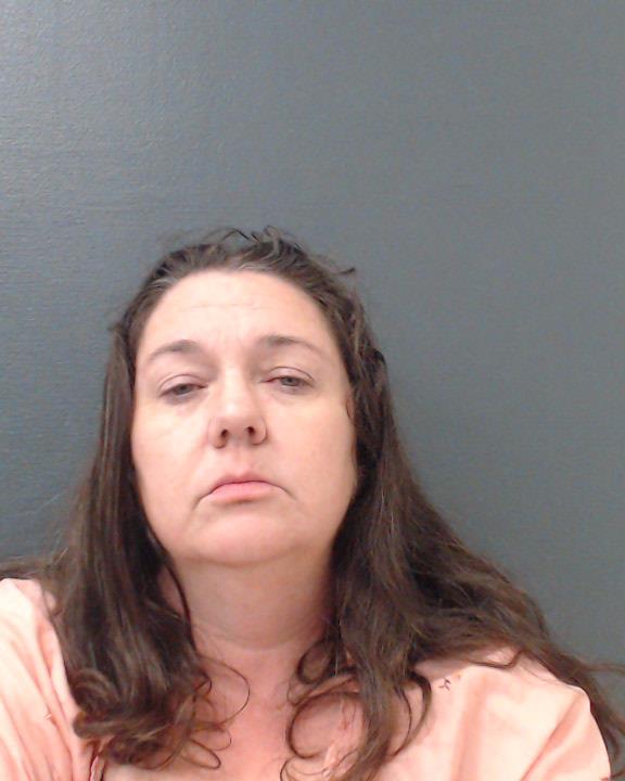 HOLDER, HOLLY LYNN booking photo