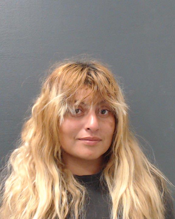 HERNANDEZ, VANESSA booking photo