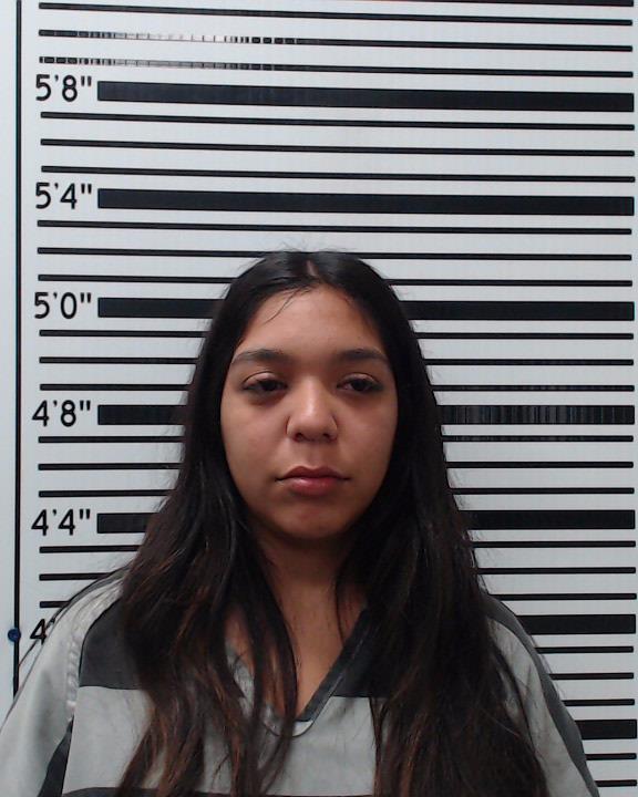 LOMAS, AARALYN NICOLE booking photo