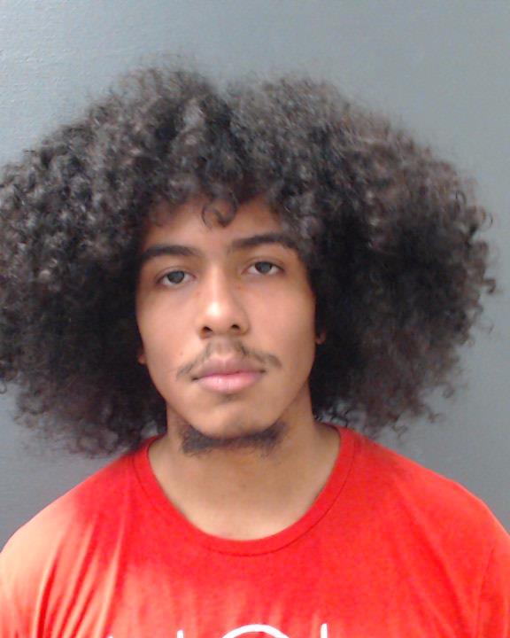 NEWTON, EDWIN DWAYNE, Jr. arrested by Comal County SO/PD