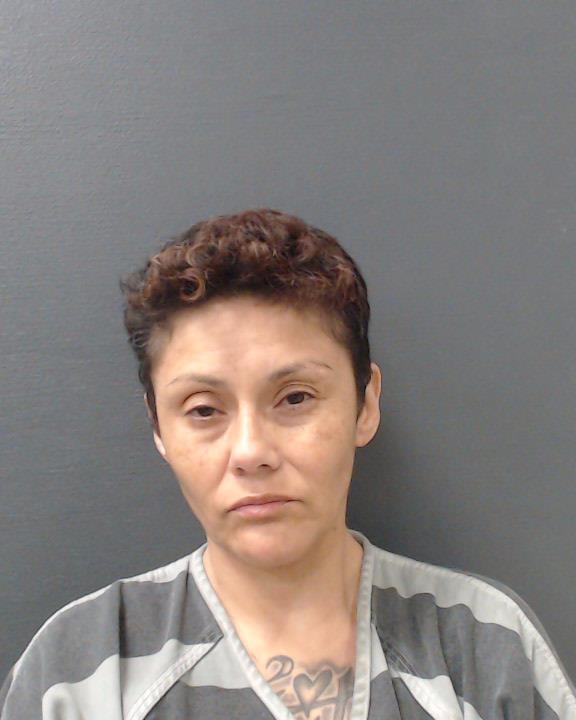 GARCIA, ERICA MARIE arrested by Comal County SO/PD