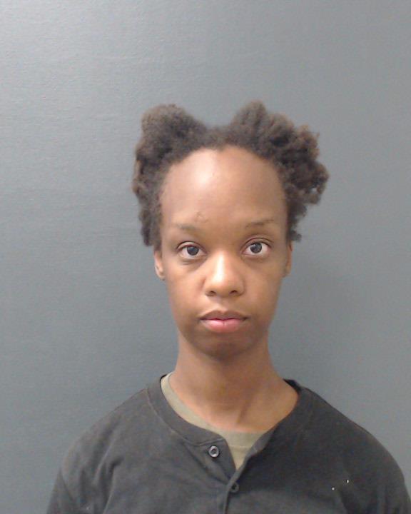 PINKSTON, KELLY ALEXANDRIA booking photo