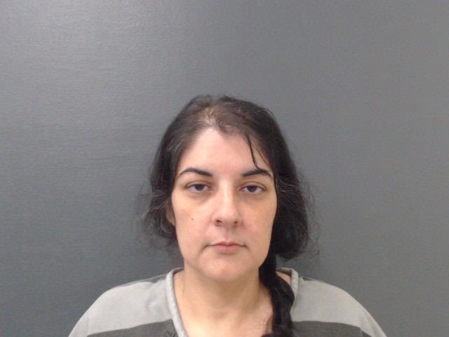 ANDERSON, ASHLEY NICOLE booking photo