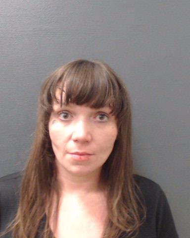 TONICK, COURTNEY LYNN booking photo