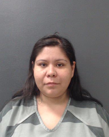 ARELLANO, MARIA DELOURDES booking photo