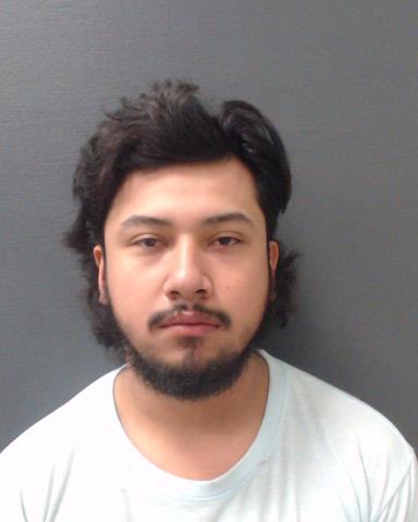 GUERRERO, CARLOS ALBERTO booking photo