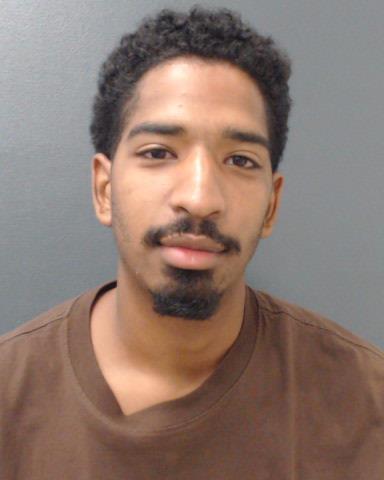 GORHAM, CHRISTIAN MICHAEL booking photo