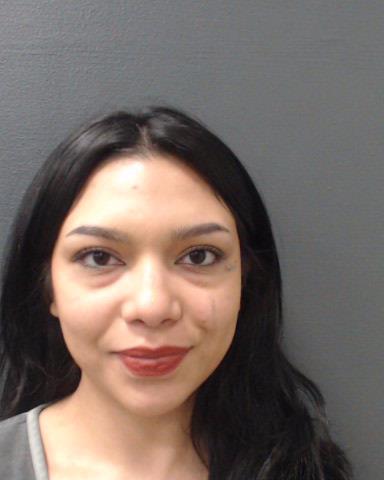 ARMENDARIZ, DANIELLE EVE booking photo