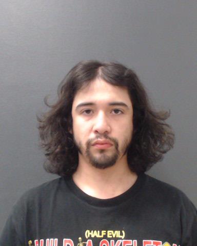 PULIDO, DAVID ALEJANDRO booking photo
