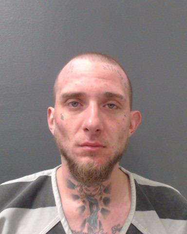 HAVLIK, J NELSON THOMAS booking photo