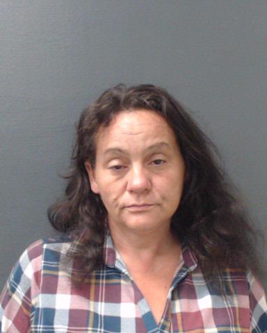 JAMES, MICHELE RENEE booking photo