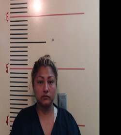 GUTIERREZ, SULEMA ABIGAIL booking photo