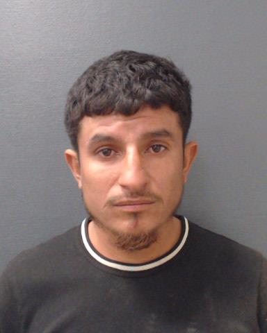JIMENEZ GONZALEZ, DELFINO booking photo