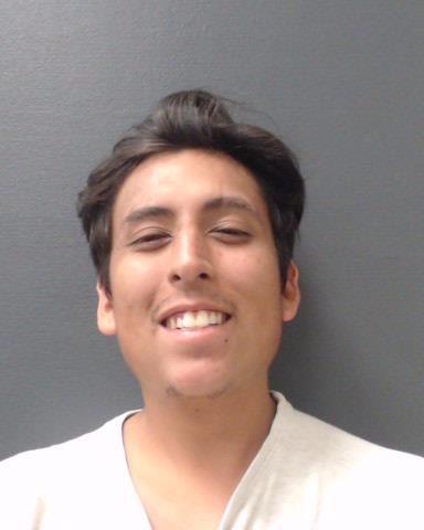 RAMIREZ, VILSON JORGE booking photo