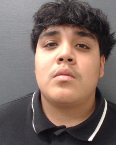 OZUNA, ERIC MATTHEW booking photo